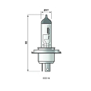 Glühlampe Narva 12V 60/55W Sockel P43t